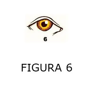 Un divertido Test de Personalidad