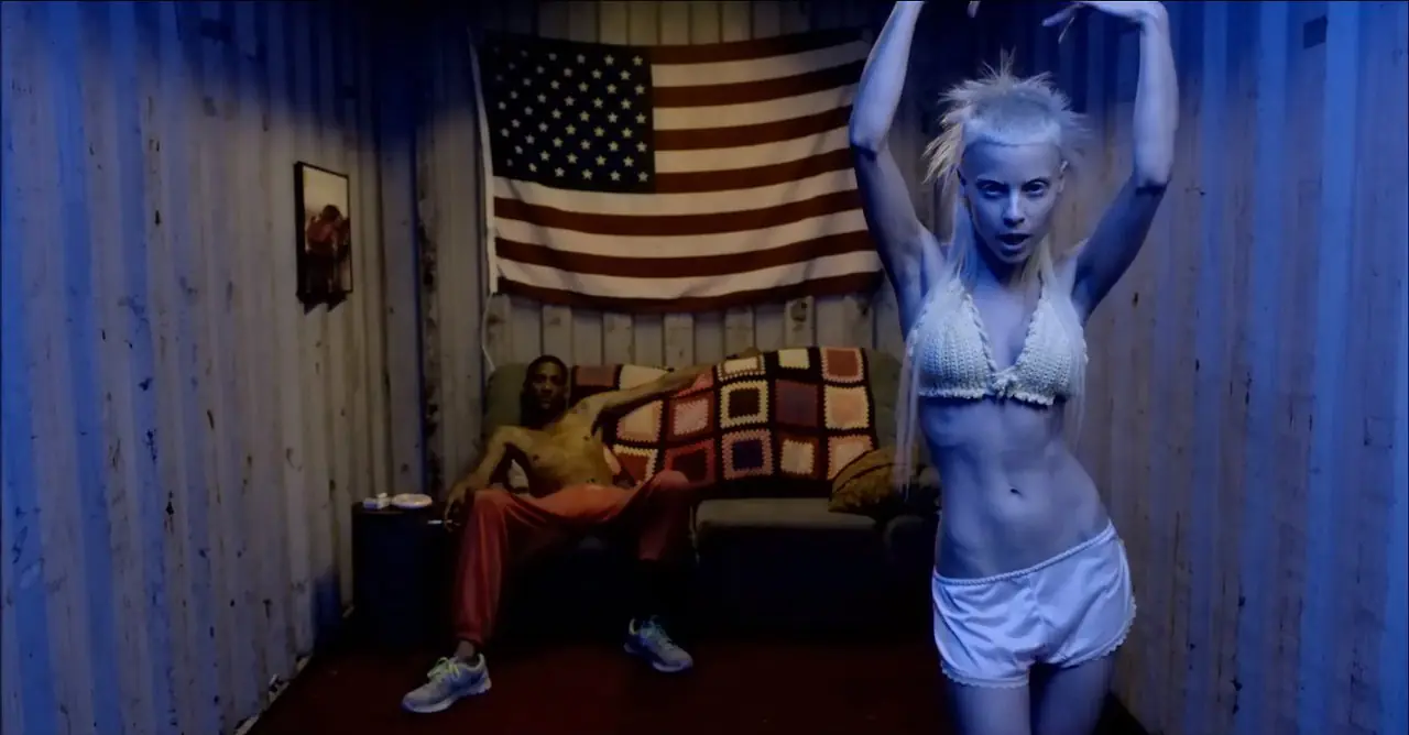 die antwoord