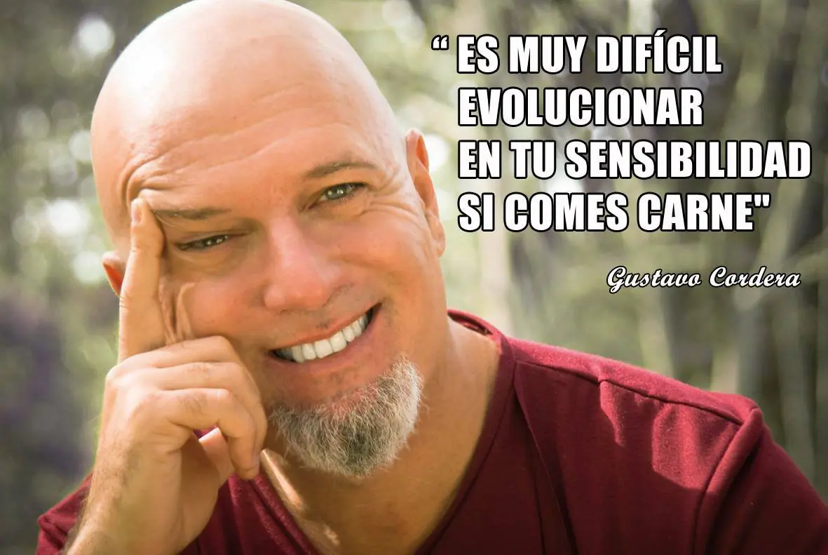 bardo