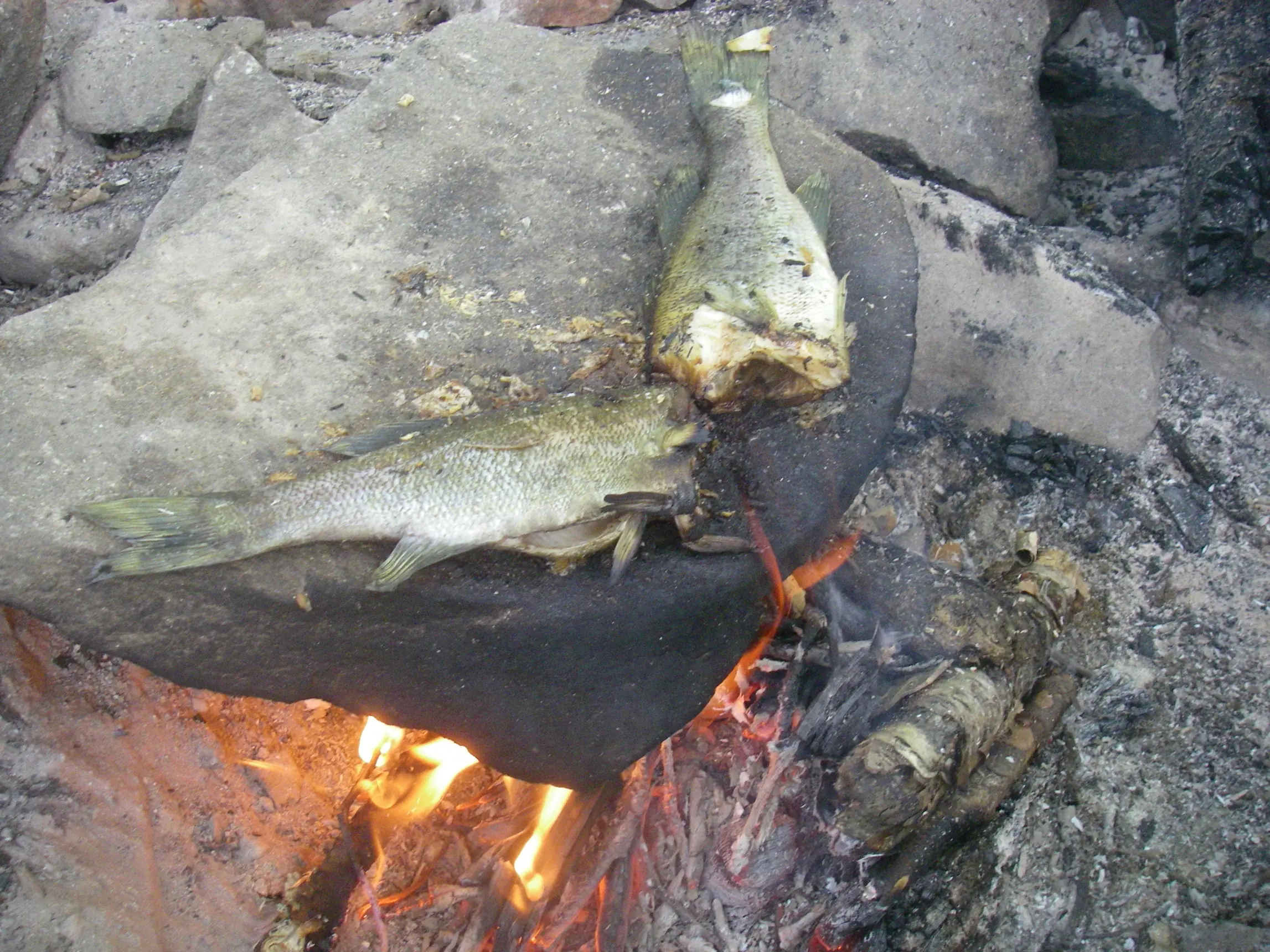 pescado