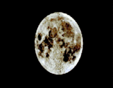 splatterhouse 10 curiosidades