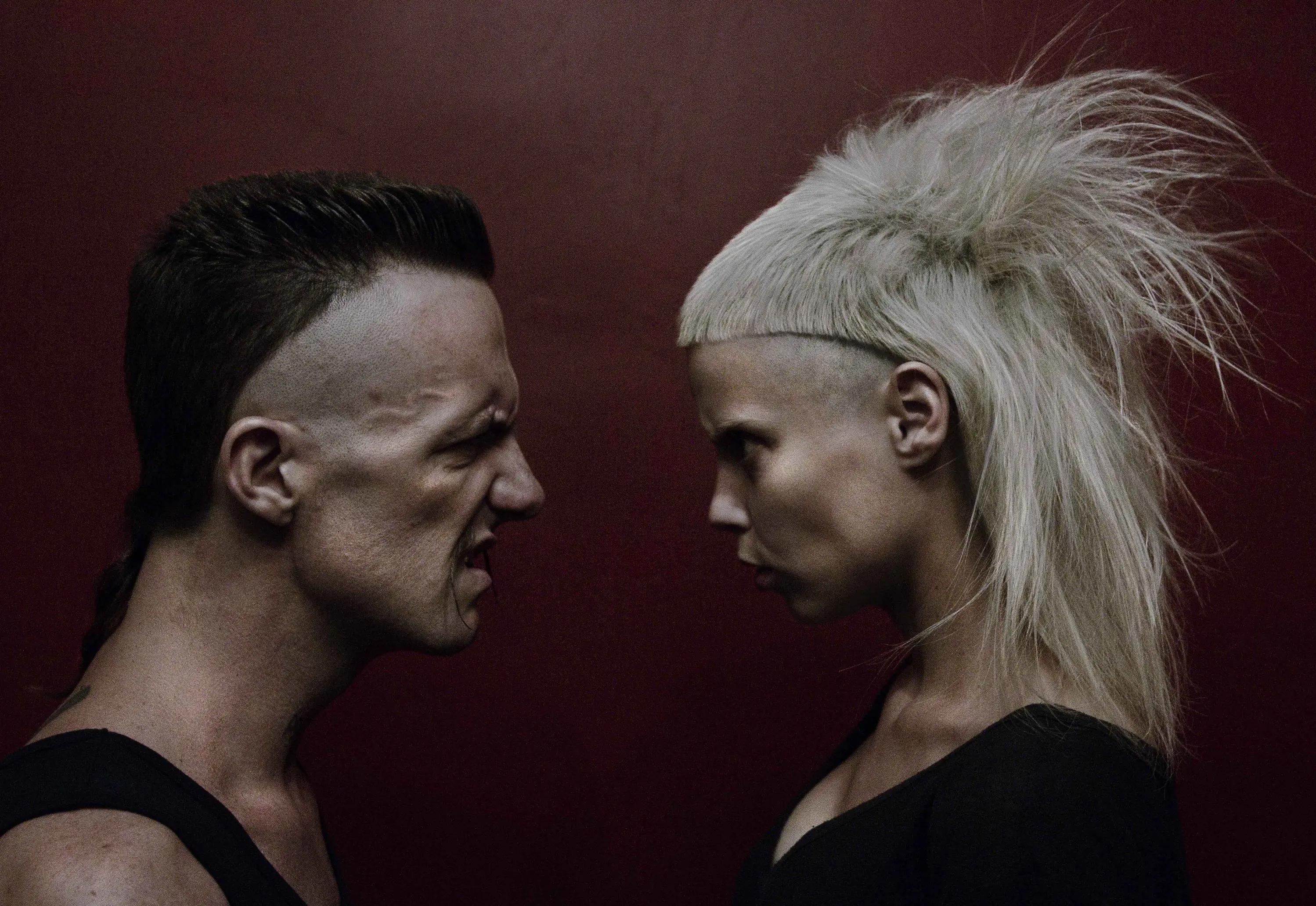 die antwoord die antwoord