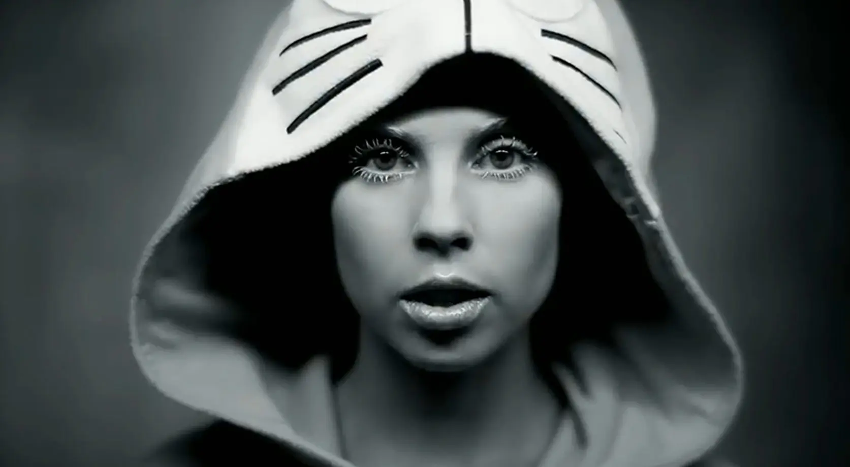 die antwoord