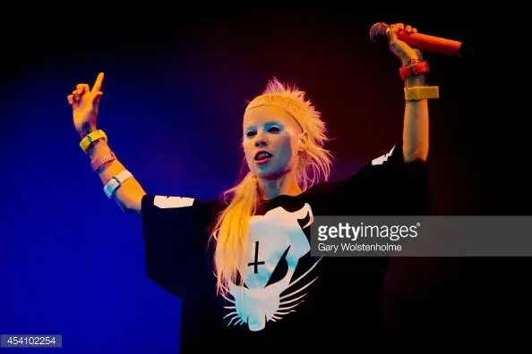 die antwoord die antwoord