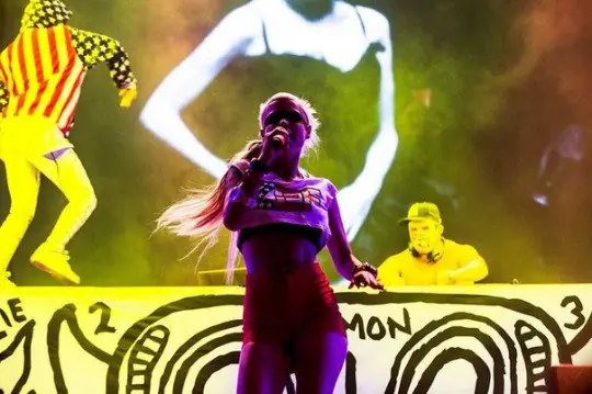 die antwoord argentina