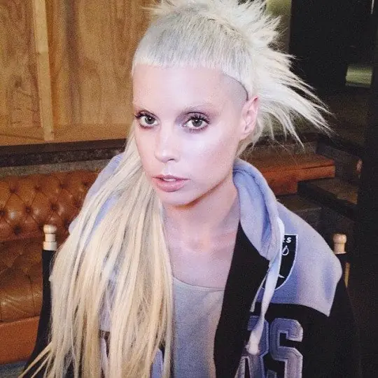 die antwoord