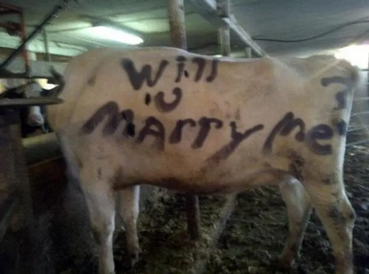 matrimonio