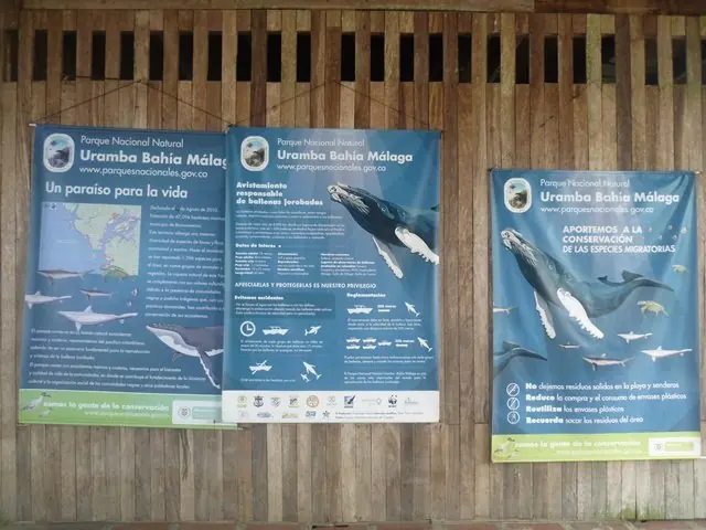 buenaventura colombia