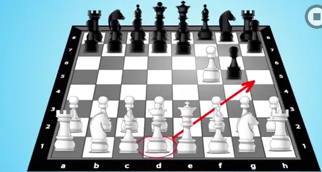 ajedrez principiantes