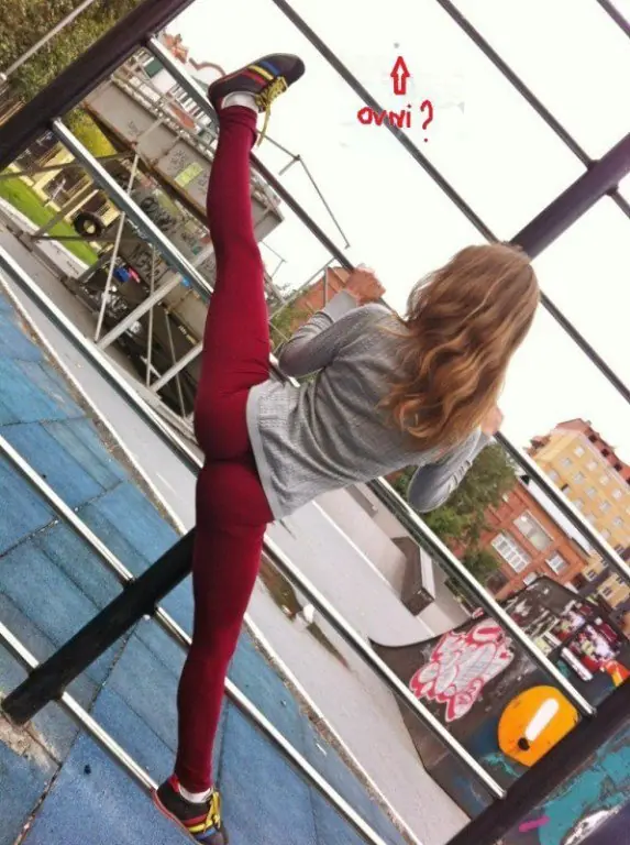 Ovnis
