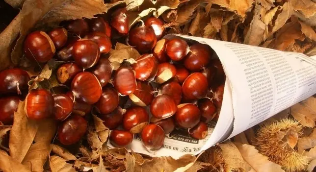 Los Beneficios de las Castañas