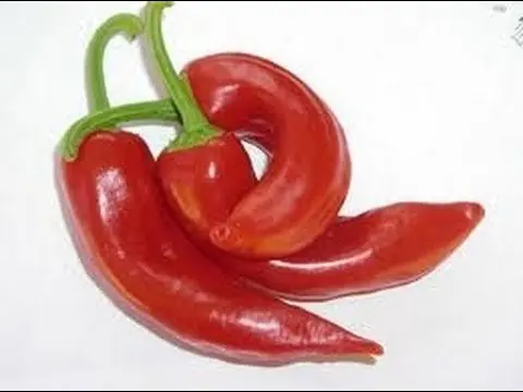 Anal