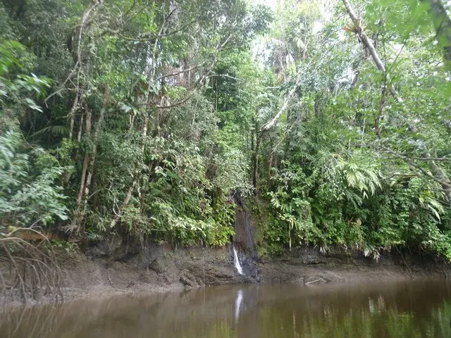 pacifico colombiano