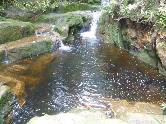 pacifico colombiano