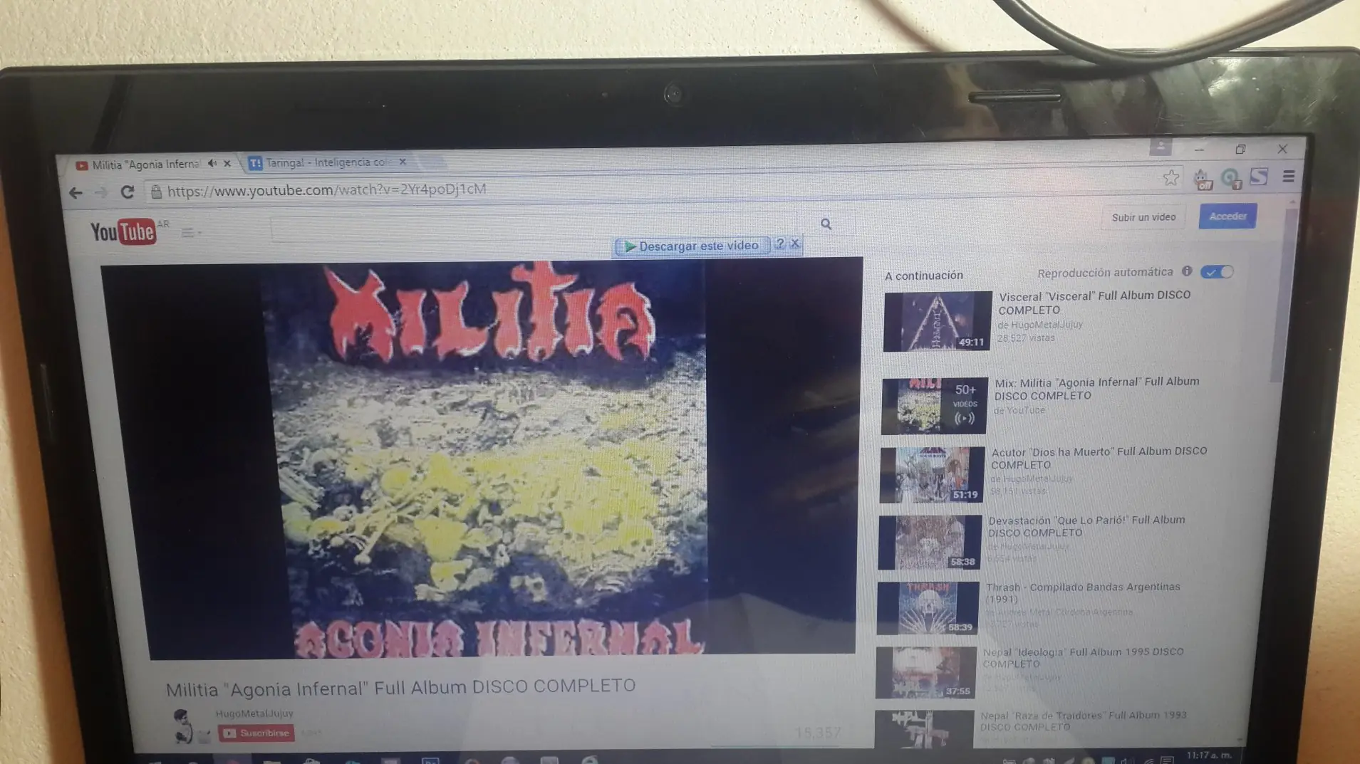 pasa lince pasa lince