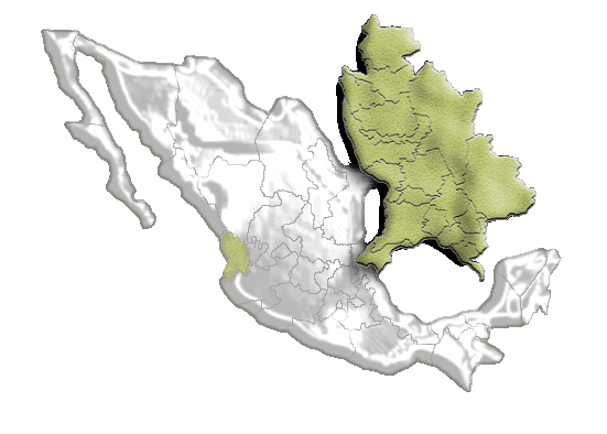 México