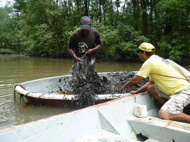 buenaventura colombia