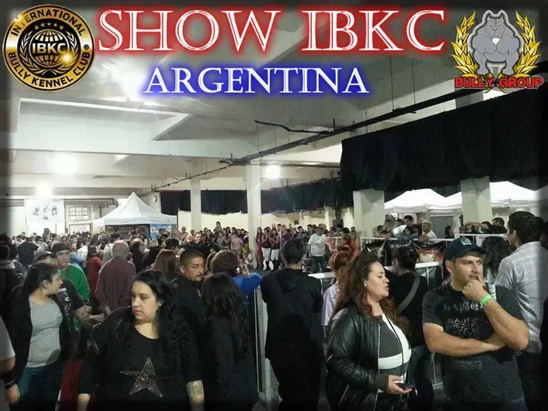 expo