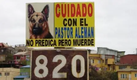 humor