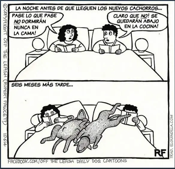 chiste