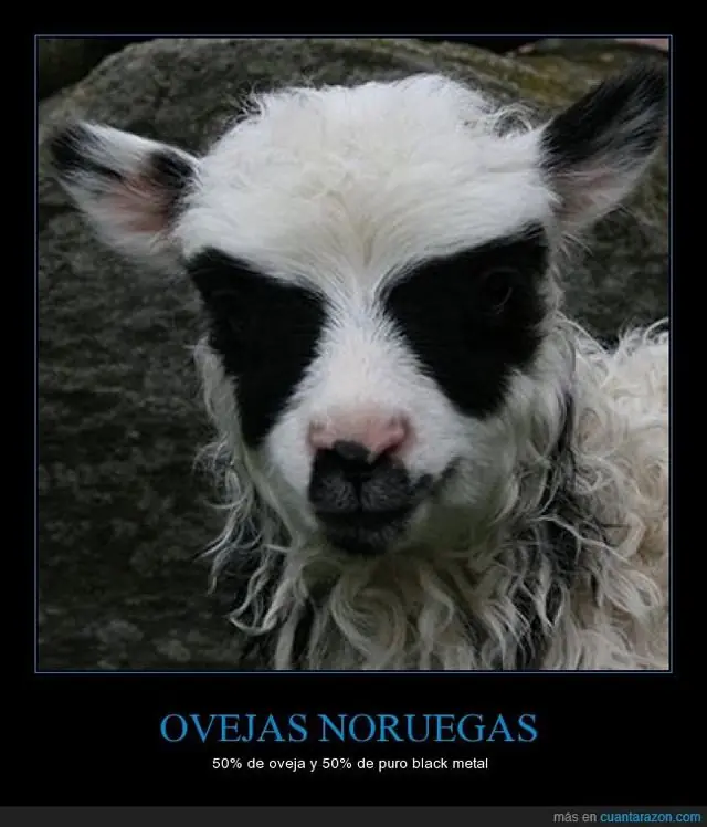 fotos