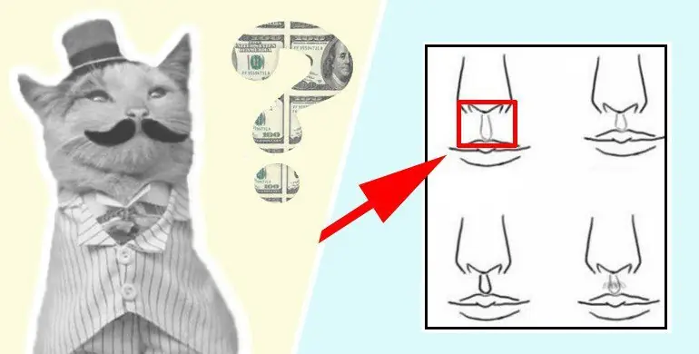 ¿Estas destinado a ser Rico? Haz este Test.