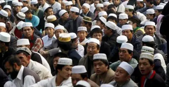 24 cosas sobre ISIS y Al-Qaeda que no quieren que sepas