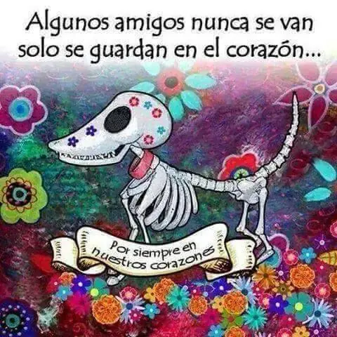 catrina