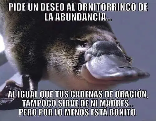 imagenes