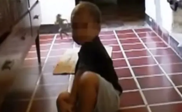 sorpresa