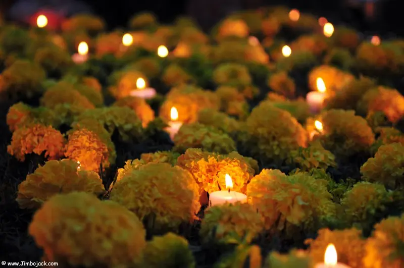 altar de muertos