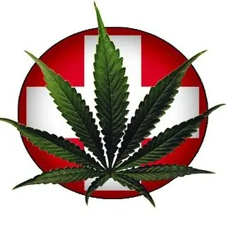 legalizacion de la cannabis