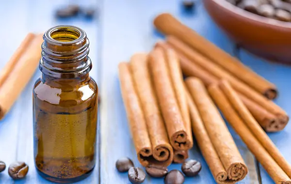 Aceite Esencial de Canela Mejora la Salud Cardíaca y Sexual