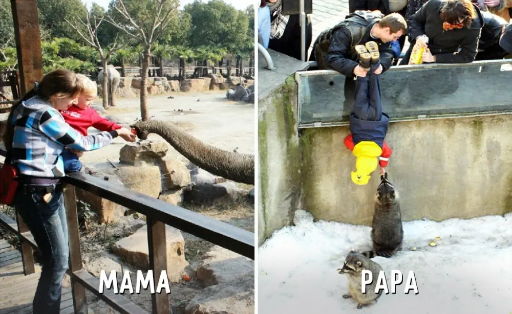 papa