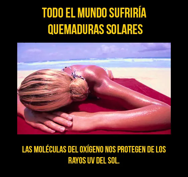 curiosidades