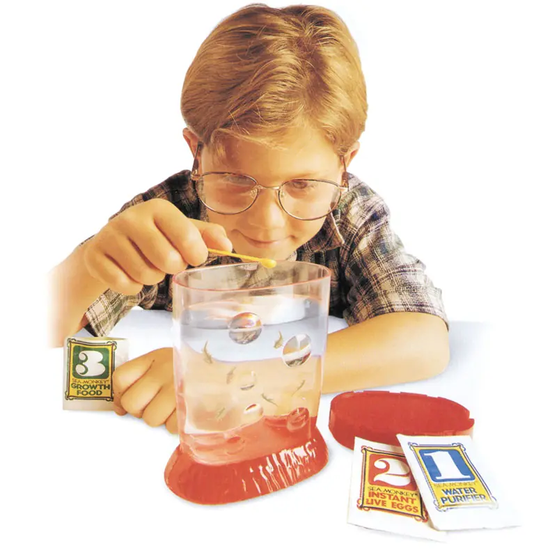 sea monkeys