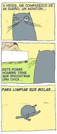 imagenes divertidas