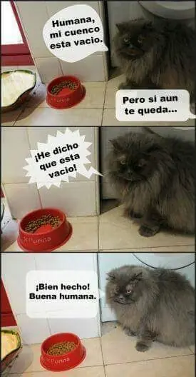 humor de lunes