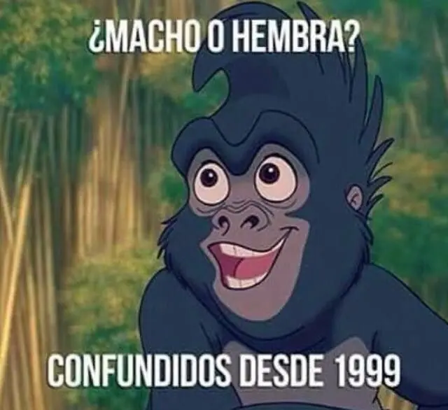 imagenes divertidas