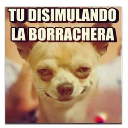 imagenes divertidas