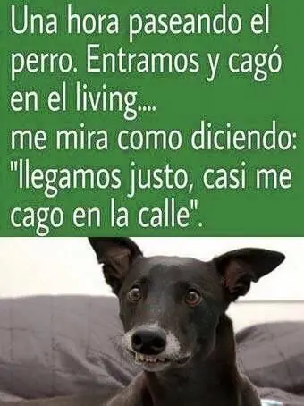 humor de lunes
