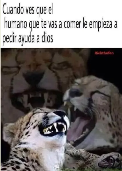 humor