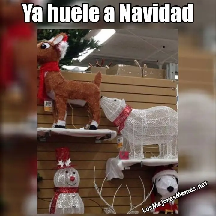 humor