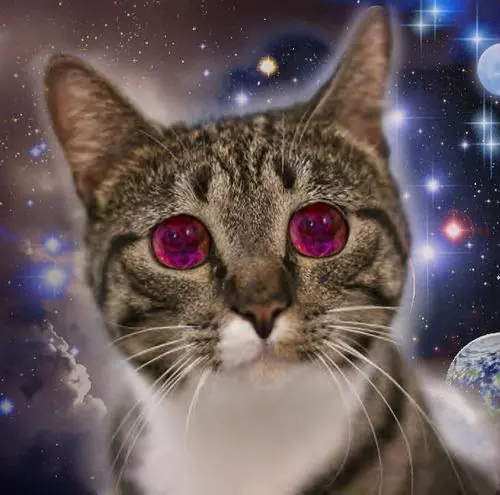 Megapost imagenes psicodelicas