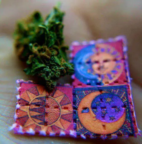 lsd