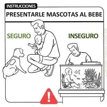 Vas a ser papá, ¿Y ahora?