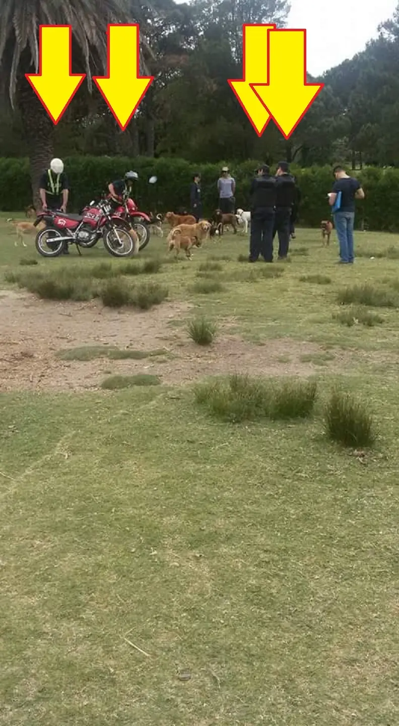 prioridades frente amplio