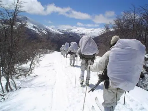 ejercito argentino ejercito argentino