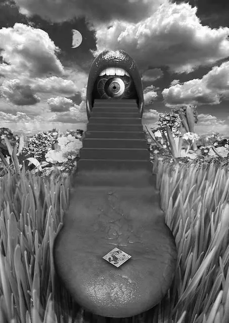 Megapost imagenes psicodelicas