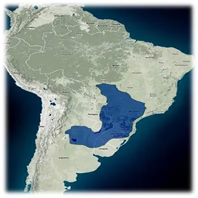 Acuífero Guaraní